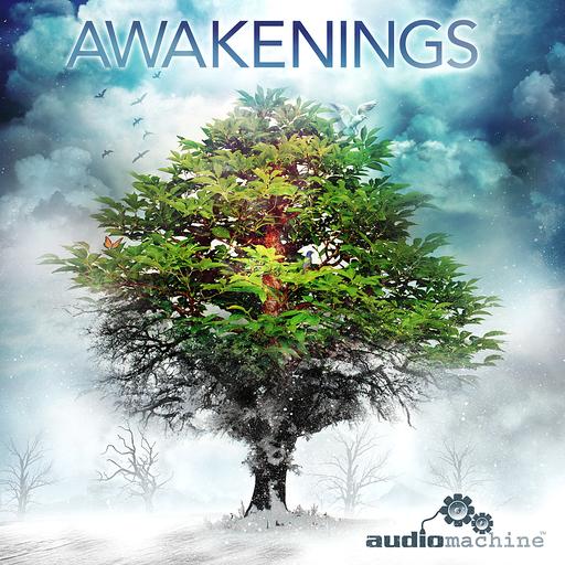 audiomachine: Awakenings