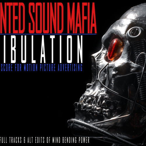 Demented Sound Mafia: Tribulation